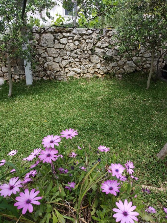 Altin Skrapari Guesthouse Ksamil Zewnętrze zdjęcie