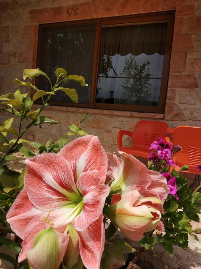 Altin Skrapari Guesthouse Ksamil Zewnętrze zdjęcie