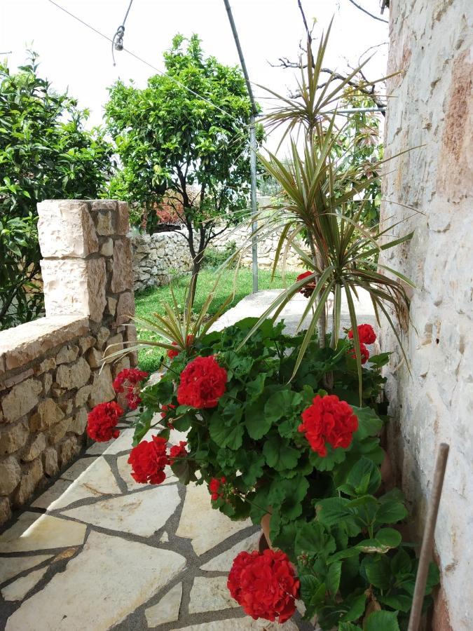 Altin Skrapari Guesthouse Ksamil Zewnętrze zdjęcie