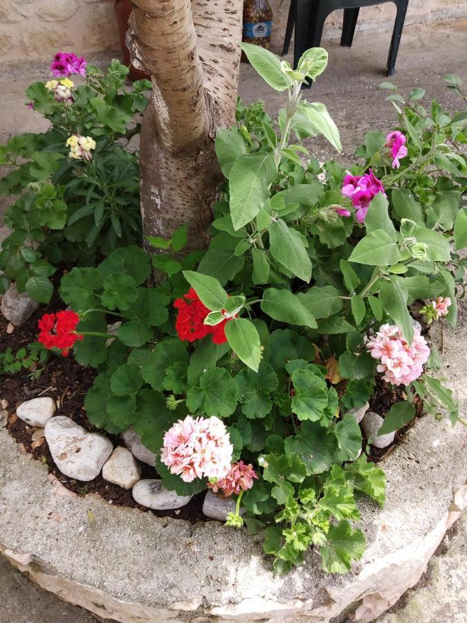 Altin Skrapari Guesthouse Ksamil Zewnętrze zdjęcie