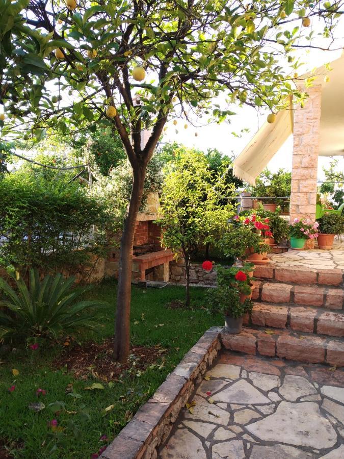 Altin Skrapari Guesthouse Ksamil Zewnętrze zdjęcie