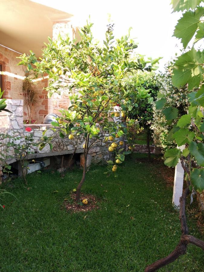 Altin Skrapari Guesthouse Ksamil Zewnętrze zdjęcie